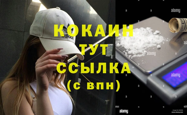 соль курить ск Белокуриха