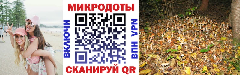 Купить где  Берёзовка  Псилоцибиновые грибы GOLDEN TEACHER 